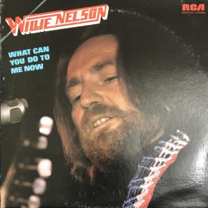 LP THE WORLD OF WILLIE NELSON - WHAT CAN YOU DO TO ME NOW